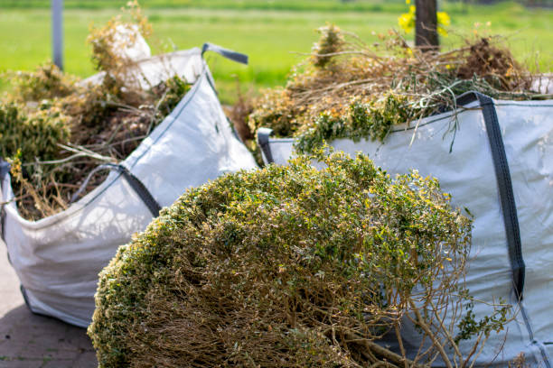 Best Dumpster Rental Services  in Austell, GA